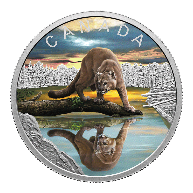 Image pour Pièce d’argent fin de 20 $ 2024 – Reflets de la faune : Couguar à partir de Métaux précieux TD